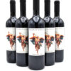 2005 Valdicava Brunello di Montalcino DOCG wine bottle
