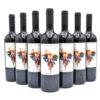 2007 Valdicava Brunello di Montalcino DOCG wine bottle