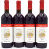 2013 Cappellano Otin Fiorin Pie Rupestris - Nebiolo red wine