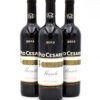 2013 Pio Cesare Barolo DOCG wine bottle