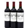 2020 Chateau Canon wine bottle